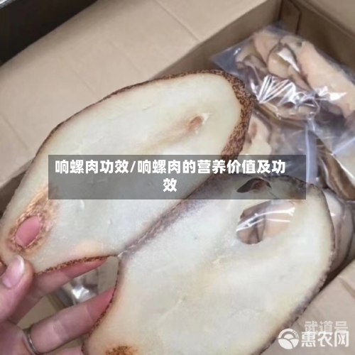 响螺肉功效/响螺肉的营养价值及功效