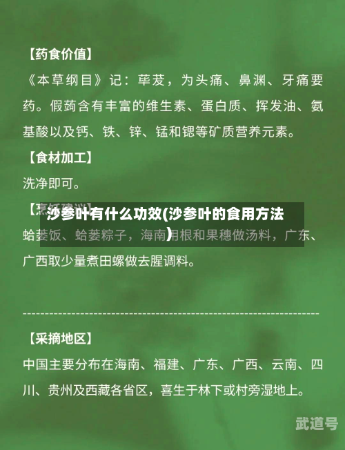沙参叶有什么功效(沙参叶的食用方法)