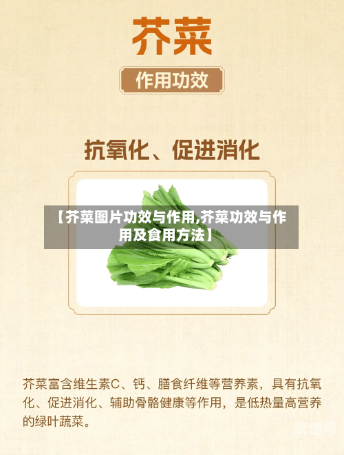 【芥菜图片功效与作用,芥菜功效与作用及食用方法】