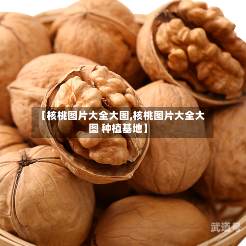 【核桃图片大全大图,核桃图片大全大图 种植基地】