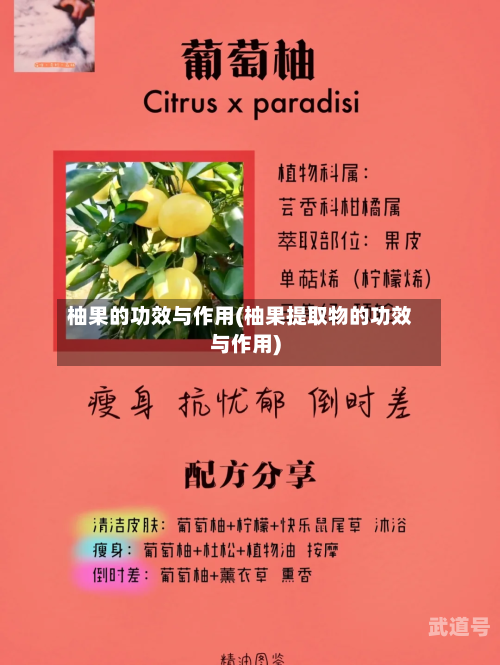 柚果的功效与作用(柚果提取物的功效与作用)