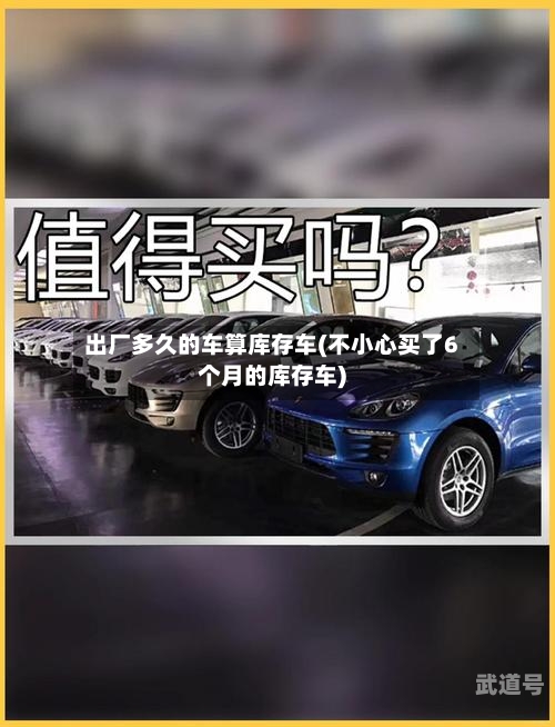 出厂多久的车算库存车(不小心买了6个月的库存车)