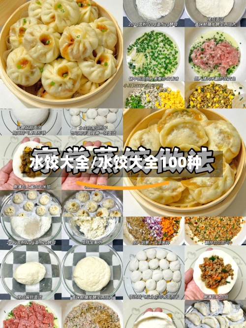 水饺大全/水饺大全100种