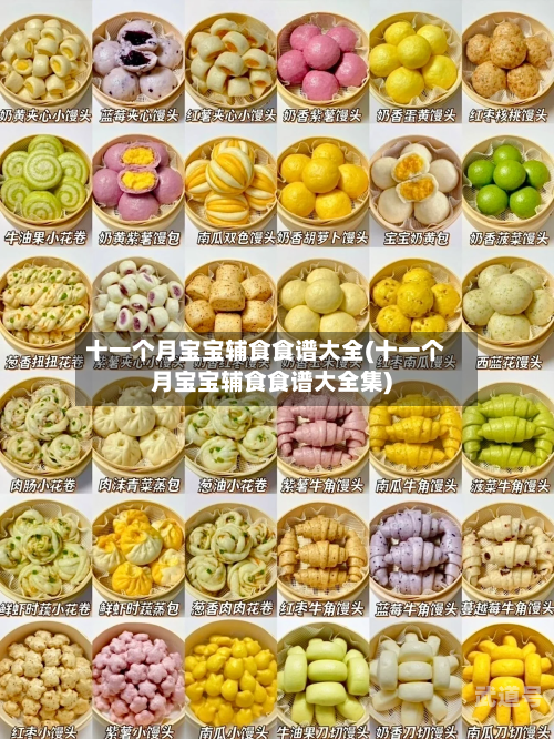 十一个月宝宝辅食食谱大全(十一个月宝宝辅食食谱大全集)