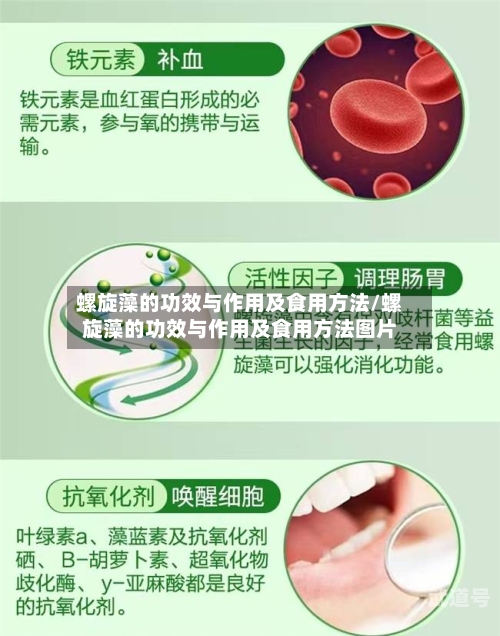 螺旋藻的功效与作用及食用方法/螺旋藻的功效与作用及食用方法图片