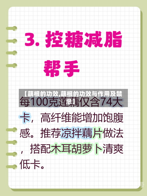 【藕根的功效,藕根的功效与作用及禁忌】