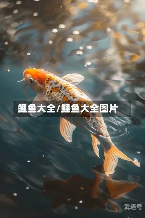 鲤鱼大全/鲤鱼大全图片