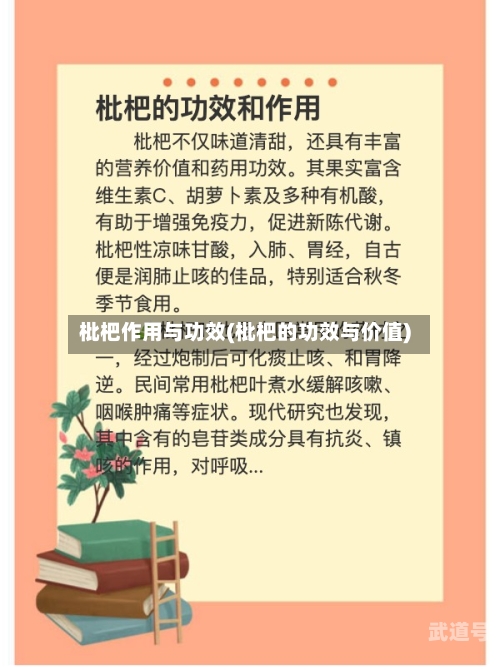 枇杷作用与功效(枇杷的功效与价值)