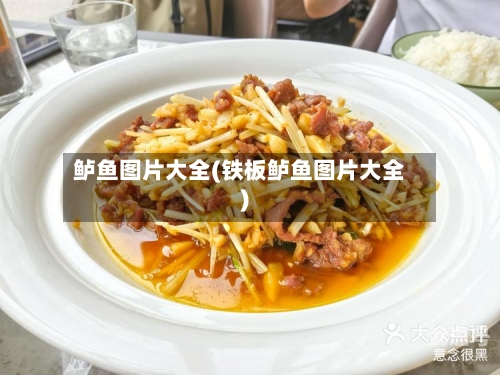 鲈鱼图片大全(铁板鲈鱼图片大全)