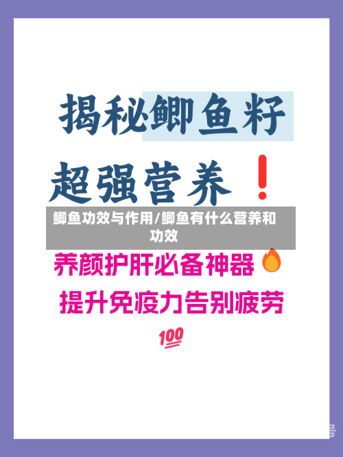鲫鱼功效与作用/鲫鱼有什么营养和功效