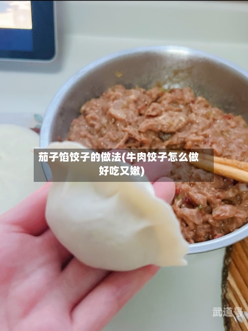 茄子馅饺子的做法(牛肉饺子怎么做好吃又嫩)