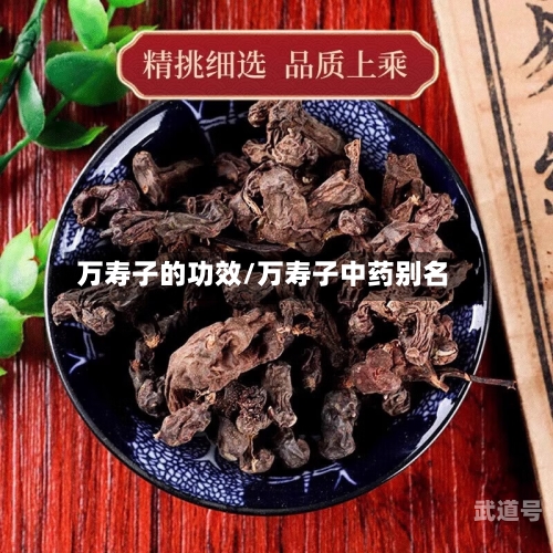万寿子的功效/万寿子中药别名