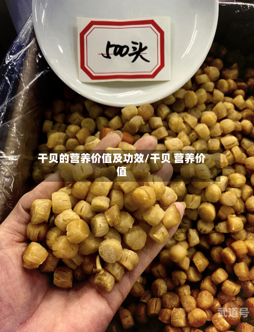 干贝的营养价值及功效/干贝 营养价值-第2张图片