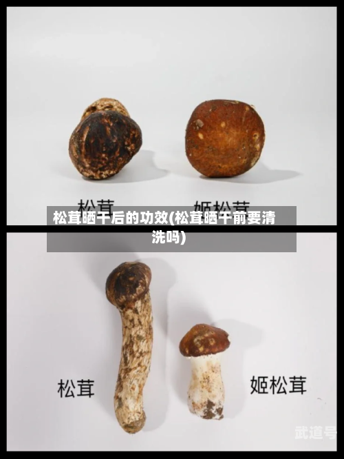 松茸晒干后的功效(松茸晒干前要清洗吗)