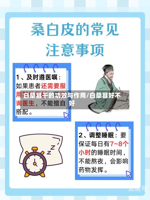 白桑葚干的功效与作用/白桑葚好不好