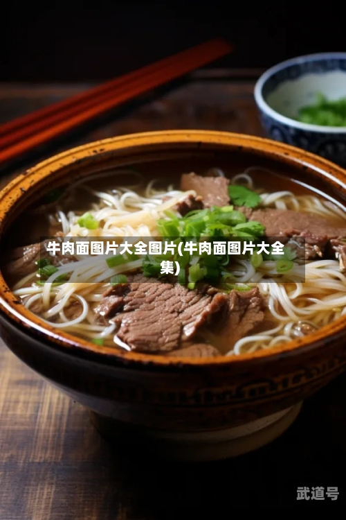 牛肉面图片大全图片(牛肉面图片大全集)