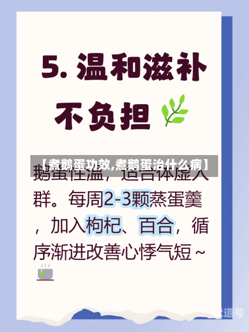 【煮鹅蛋功效,煮鹅蛋治什么病】-第2张图片