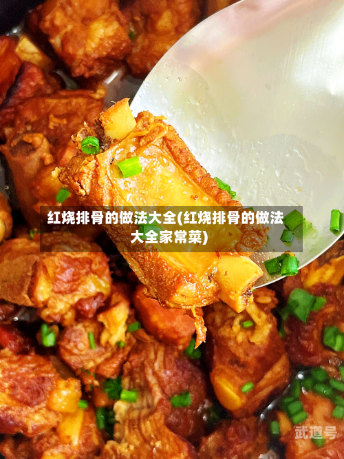 红烧排骨的做法大全(红烧排骨的做法大全家常菜)