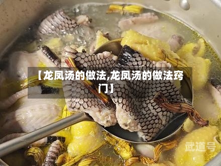 【龙凤汤的做法,龙凤汤的做法窍门】