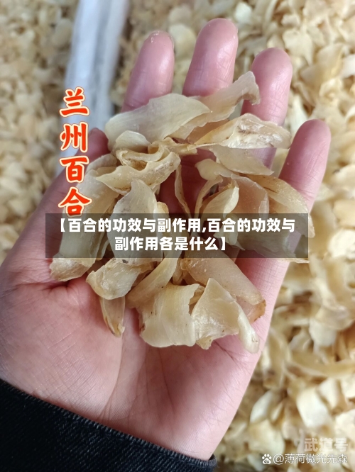 【百合的功效与副作用,百合的功效与副作用各是什么】