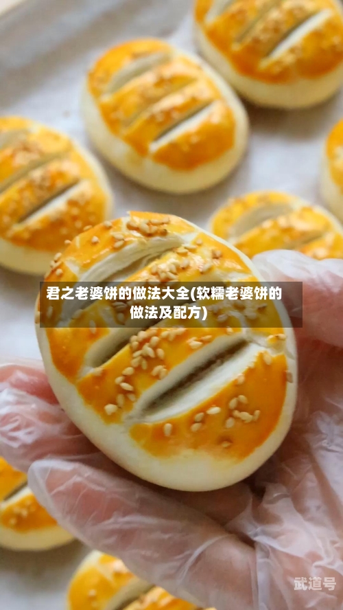 君之老婆饼的做法大全(软糯老婆饼的做法及配方)
