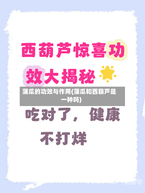 蒲瓜的功效与作用(蒲瓜和西葫芦是一种吗)