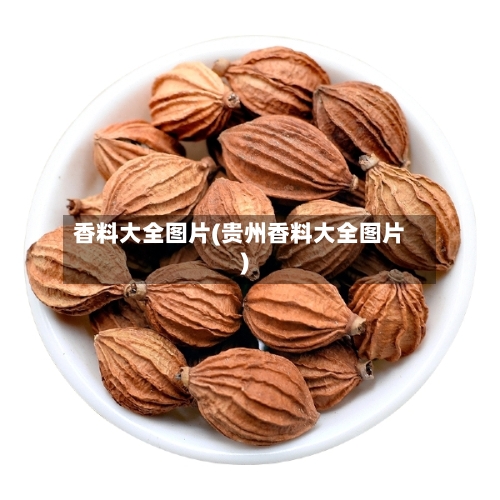 香料大全图片(贵州香料大全图片)