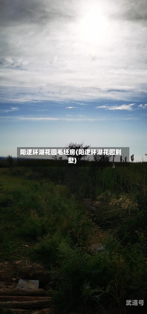 阳逻环湖花园毛坯房(阳逻环湖花园别墅)