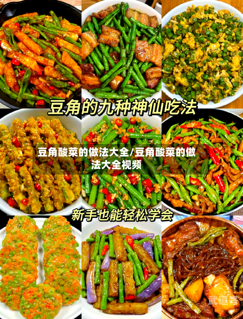 豆角酸菜的做法大全/豆角酸菜的做法大全视频