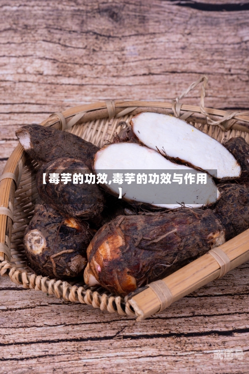 【毒芋的功效,毒芋的功效与作用】
