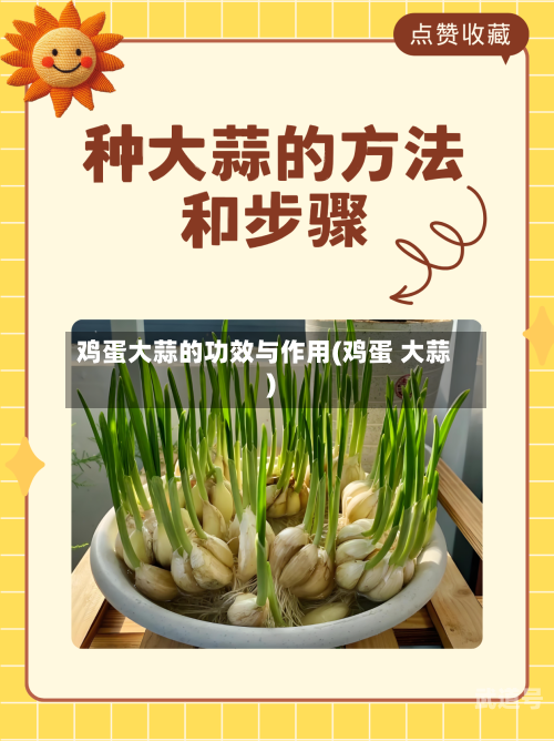鸡蛋大蒜的功效与作用(鸡蛋 大蒜)