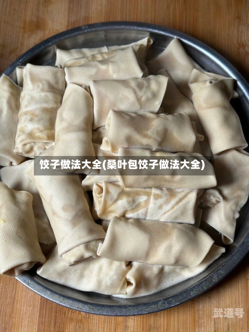 饺子做法大全(桑叶包饺子做法大全)