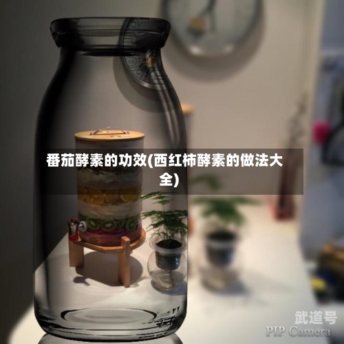 番茄酵素的功效(西红柿酵素的做法大全)