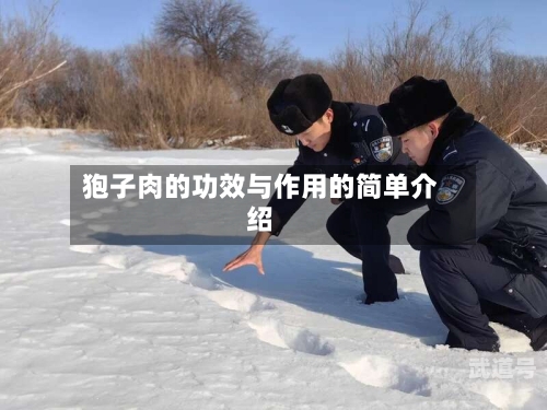 狍子肉的功效与作用的简单介绍