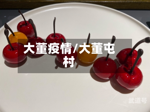 大董疫情/大董屯村