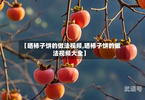 【晒柿子饼的做法视频,晒柿子饼的做法视频大全】