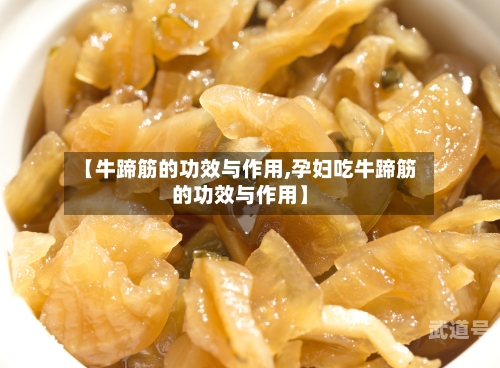 【牛蹄筋的功效与作用,孕妇吃牛蹄筋的功效与作用】