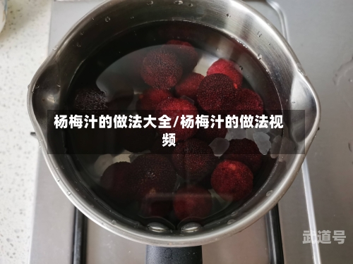 杨梅汁的做法大全/杨梅汁的做法视频