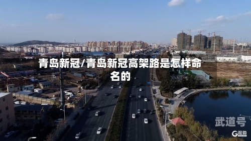 青岛新冠/青岛新冠高架路是怎样命名的