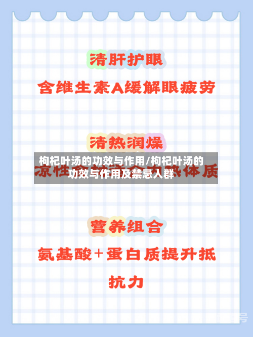 枸杞叶汤的功效与作用/枸杞叶汤的功效与作用及禁忌人群-第2张图片
