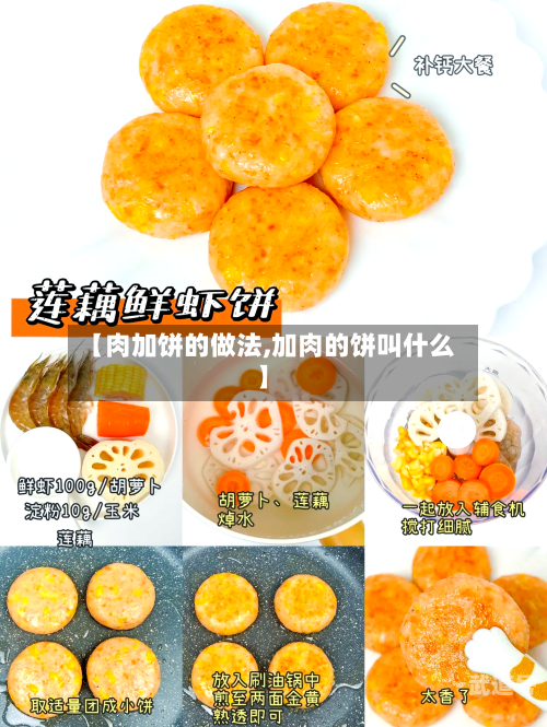 【肉加饼的做法,加肉的饼叫什么】