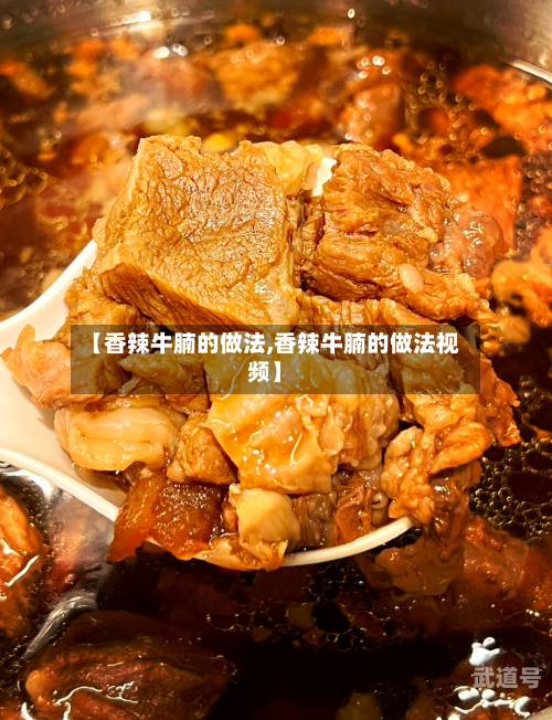 【香辣牛腩的做法,香辣牛腩的做法视频】