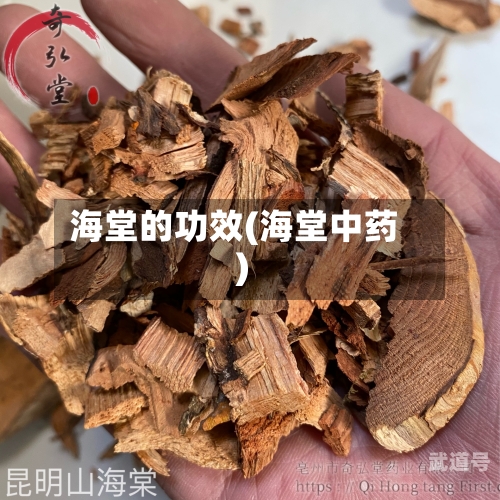海堂的功效(海堂中药)