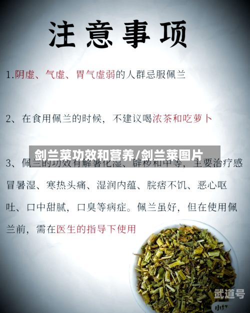 剑兰菜功效和营养/剑兰莱图片