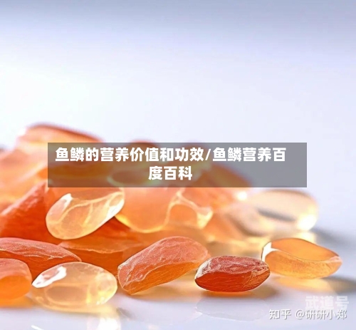 鱼鳞的营养价值和功效/鱼鳞营养百度百科