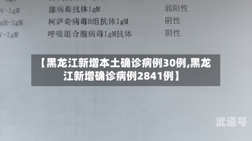 【黑龙江新增本土确诊病例30例,黑龙江新增确诊病例2841例】