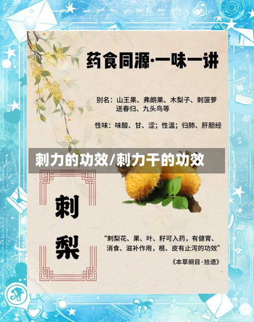 刺力的功效/刺力干的功效