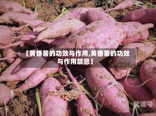【黄番薯的功效与作用,黄番薯的功效与作用禁忌】