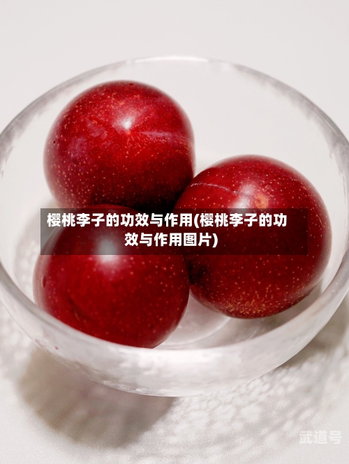 樱桃李子的功效与作用(樱桃李子的功效与作用图片)