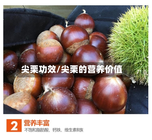尖栗功效/尖栗的营养价值